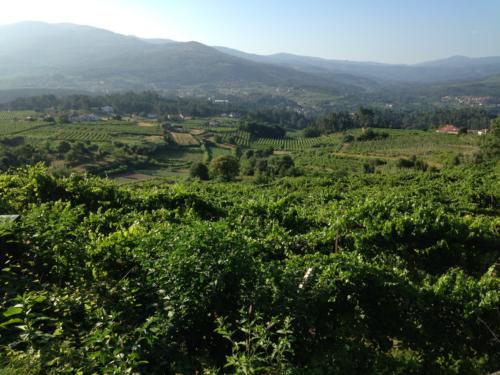 Valados de Melgaço