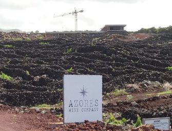 Azores Wine Company: new 2018 releases & new developments
