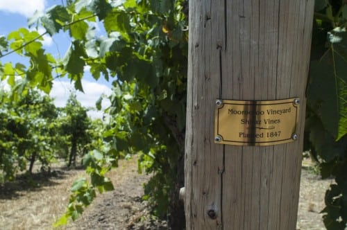 Schile Estate #moo160 Barossa Valley, South Australia Photo: John Kruger