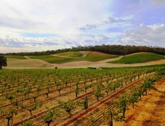 200 fine wines later: Arblaster & Clarke South Australia & Victoria vintage tour