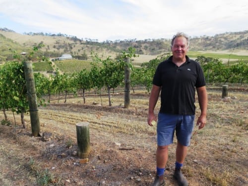 David Jones shows off his vineyard - a fine ampitheatre