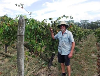 April Wines of the Month: sophisticated & smashable Australia