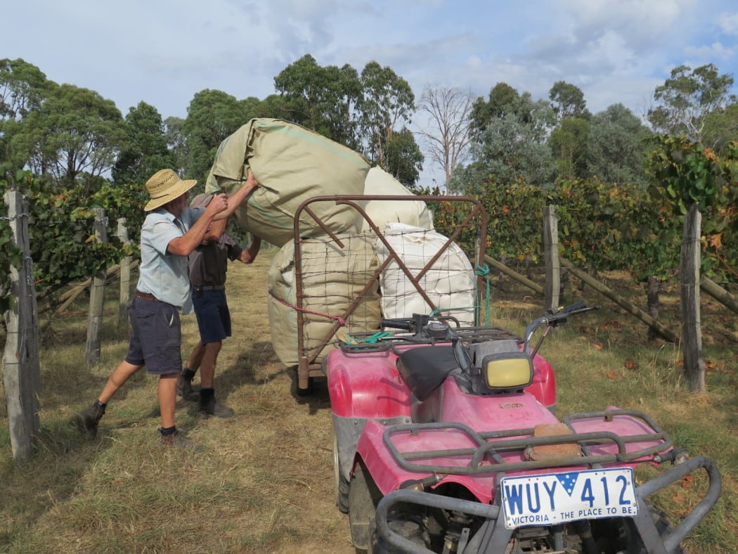 arb & clarke & beechworth chalmers 816