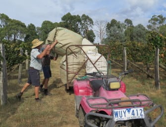 A visit with Sorrenberg, Beechworth