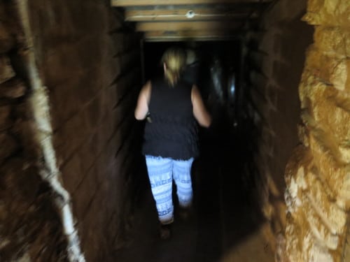 Bustling off into the cellar - Jan Morey