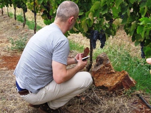 Walter Speller gets up close and personal with Heathcote's famous Cambrian era soils