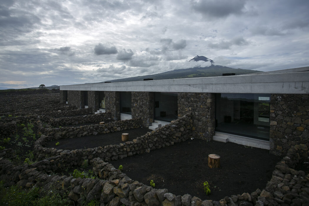 Azores Wine Company winery