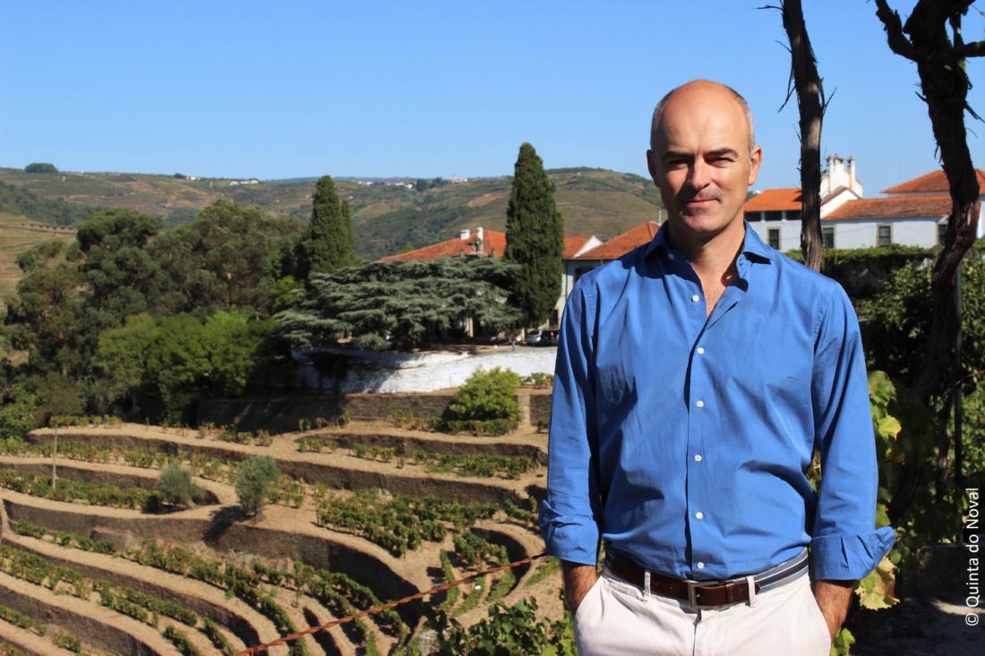 Quinta do Noval