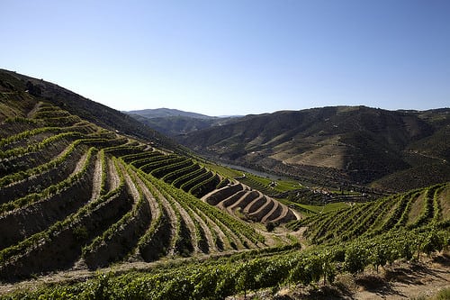 churchillsquiintadagricha