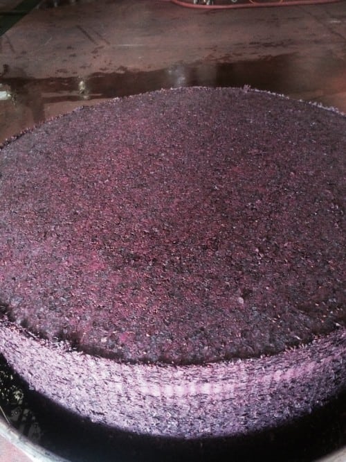 Pressed reds at Cullen - the cake