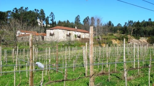 Quinta de Casa Nova
