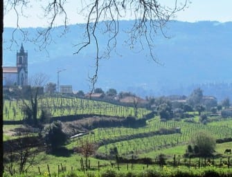 Pintia seals the deal at Iberian Nights; next up Galicia -v- Vinho Verde
