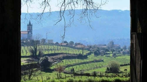 douro blend day 2 014