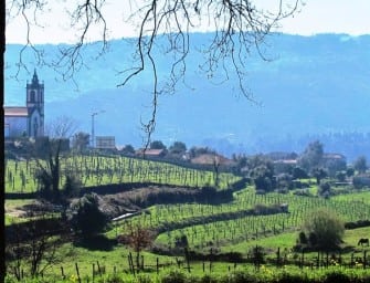 My Portuguese Wine Guide: Part 1, Vinho Verde
