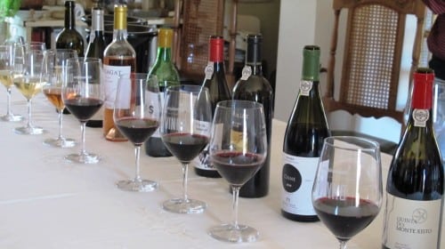 A line up of Muxagat wines