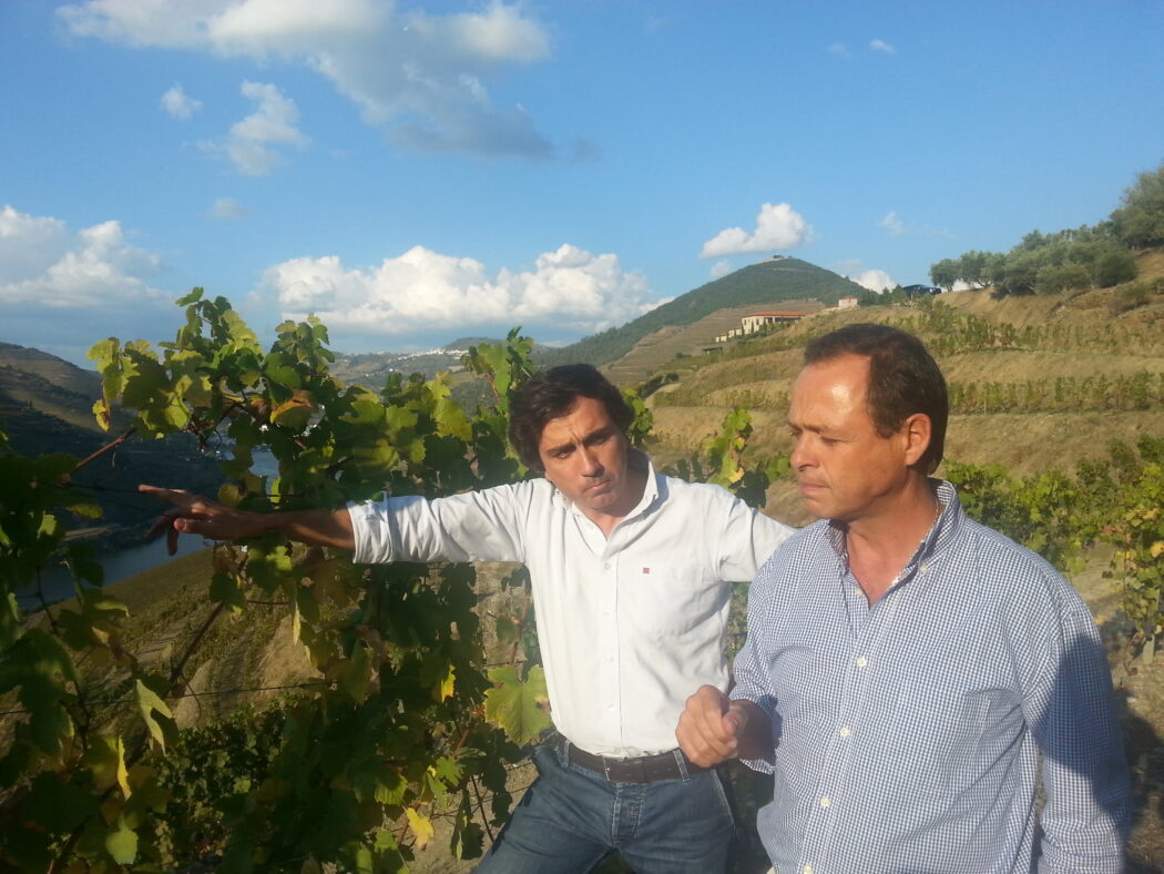 douro sogrape pics 251