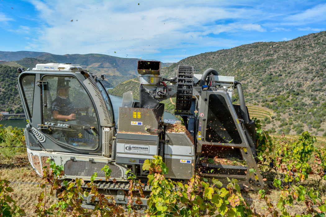 Douro_Harvester_SymHoffmann_2019_01