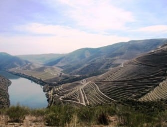 Wines with altitude: Duorum Reserva O. Leucura Cota 200 & Cota 400