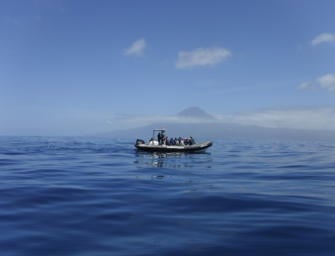 The Azores – walks, whales & wine tips