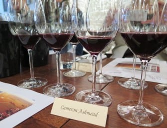 Elderton Command Shiraz vertical
