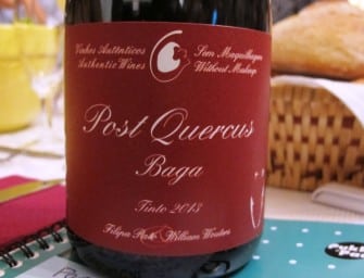An exciting amphorae-aged Baga: Filipa Pato & William Wouters Post Quercus Baga 2013