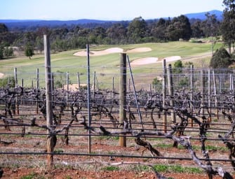 Preview: Brokenwood 2014 Single Vineyard Shirazes & a Graveyard mini-vertical