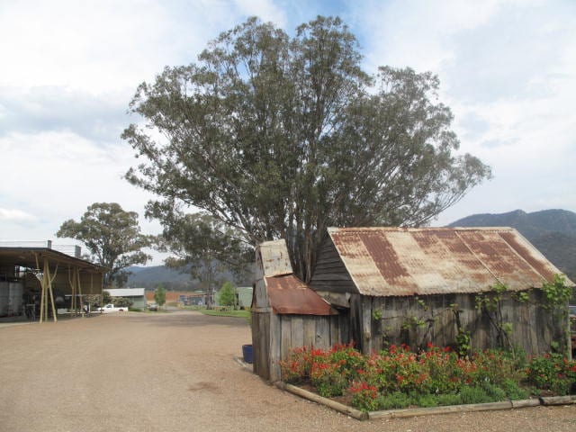 Hunter Valley Semillon