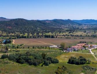 The Symingtons go to Portalegre; and some Port news
