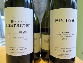First taste: Wine & Soul Guru 2015, Pintas 2014 (Douro reds & Port)