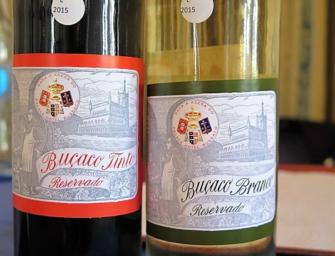 Bussaco Palace Hotel: 2015 vintage releases & some golden oldies