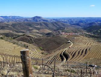Simplesmente Vinho 2018 Part 2: visit highlights