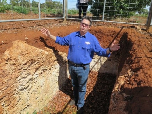 How big is the Coonawarra cigar/terra rossa strip? Pete Bissell of Balnaves gives his view