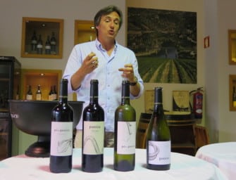 July Wines of the Month: single vineyard stunners from the Douro & Eden Valleys