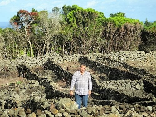 Paulo Machado of Azores Wine Company in reclaimed/rebuilt vineyards