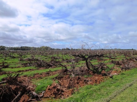 limestone 2013 part 2 034