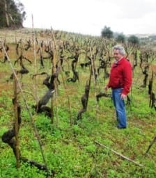 February Wines of the Month: Yabby Lake Vineyard Red Claw Pinot Noir 2012 & Quinta das Bageiras Garrafeira Tinto 2011