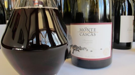 montecascasramsico