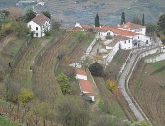First taste: Quinta do Noval Nacional 2004