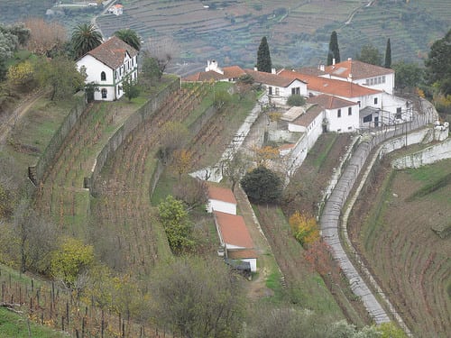noval