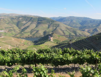Niepoort Vintage Port 2017 – “possibly our best since 1945”