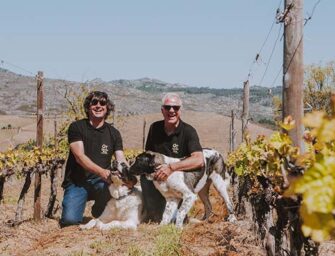 Decanter World Wine Awards 2020 – a bling, bling Platinum & Gold year for Portugal