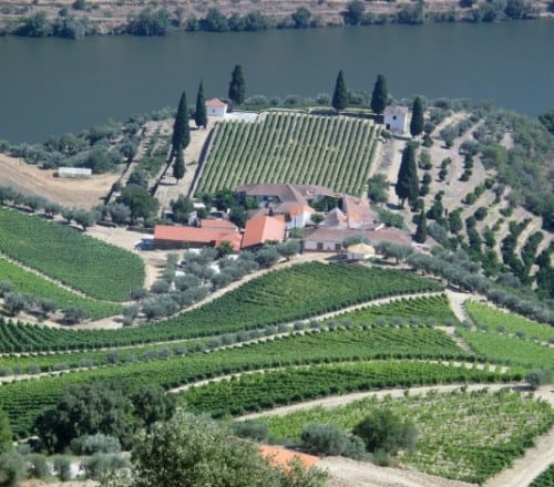 Quinta de Roriz