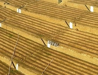 My Portuguese Wine Guide: Part 2, the Douro Valley