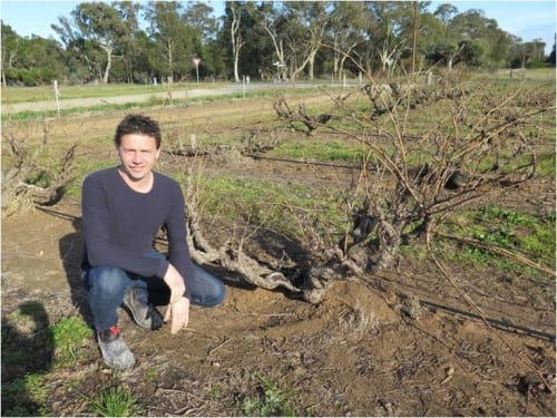Riebke vineyard Grenache Kym Teusner