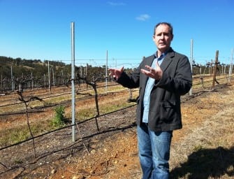 Mount Pleasant: stunning 2014 Shirazes & rare Hunter Pinot Noirs