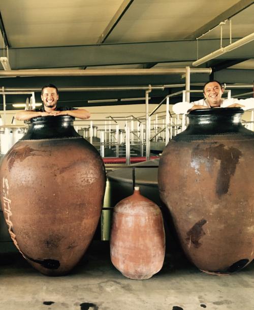 Heradade São Miguel Art. Terra Amphora