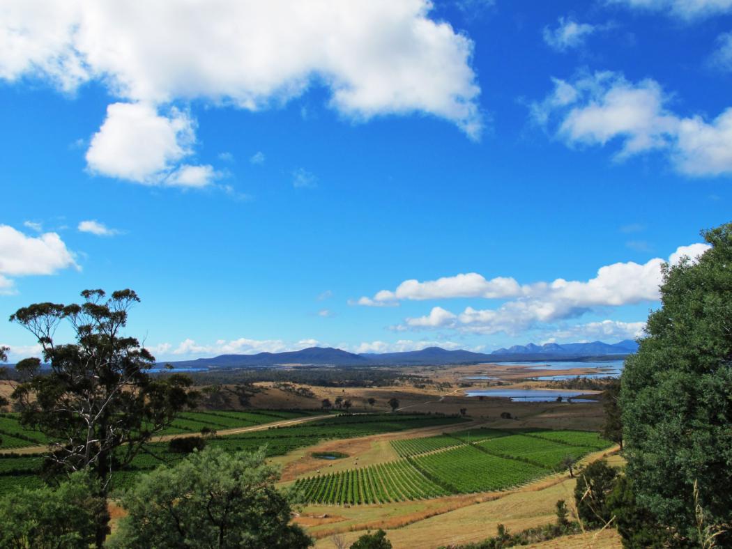 tassie hobart, freycinet 029