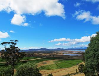 A big fish in a small pond? Catching up with Brown Brothers’ Tasmanian Estates