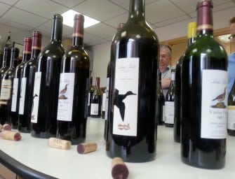 20 great Portuguese wines from The Wine Society