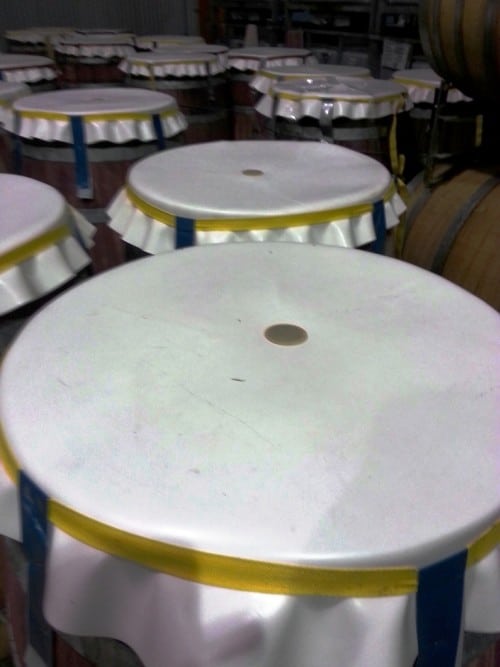 under cloth coverage during fermentation – let CO2 out and keep insects out